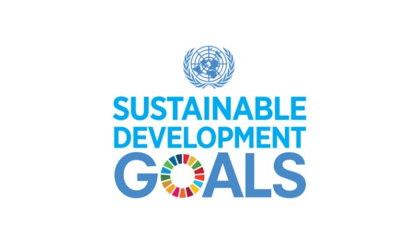UN Sustainable Development Goals (SDGs) logo